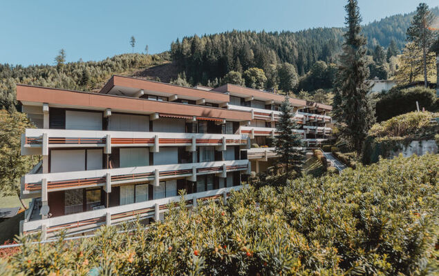 Alpenpanorama - Photo 21