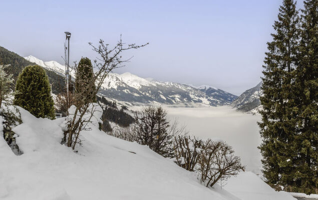 Alpenpanorama - Photo 29