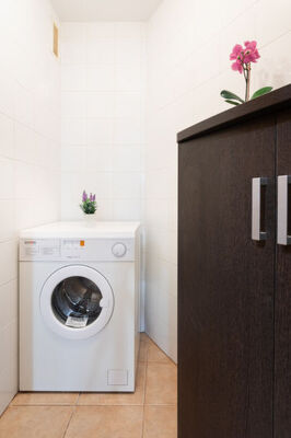 Sunny Tejita - Photo 14