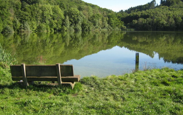 Eifelnatur (Haus 2) - Photo 73