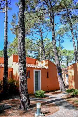 T2 Cabine Type C - Photo 13