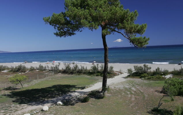 T2 Cabine Type C - Photo 20