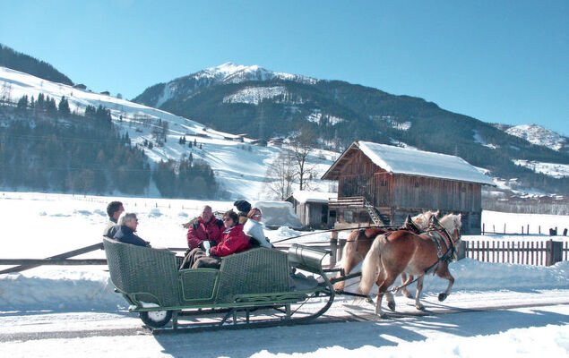 Oskar (Top 4) - Photo 32