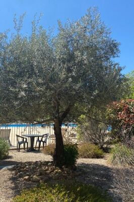 Château de Jouarres - Photo 15