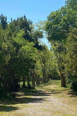 Château de Jouarres - Photo 21
