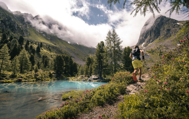 Apart 107 Wiesenhof - Photo 40