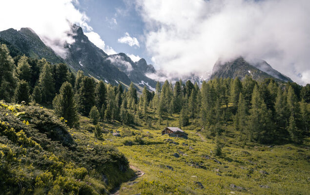 Apart 107 Wiesenhof - Photo 41