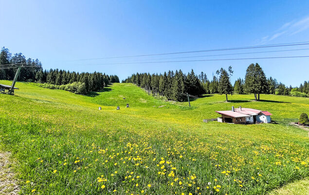 Fewo Knöpfle - Photo 52